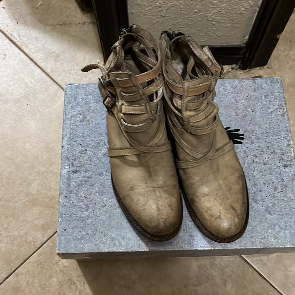 Freebird - Picture 3 of 3